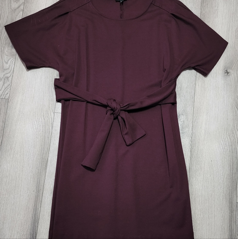 Express Wine dress